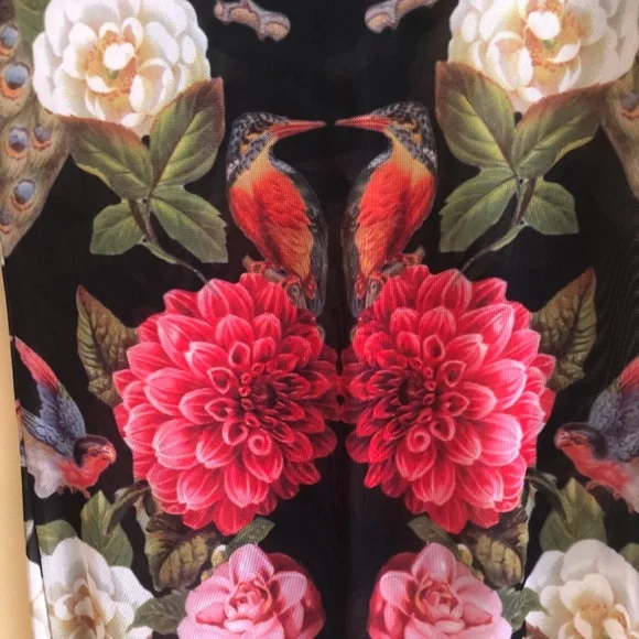 NWOT Nasty Gal Sheer London Body-con Dress - Picture 4 of 16